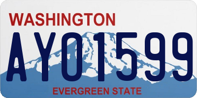 WA license plate AYO1599