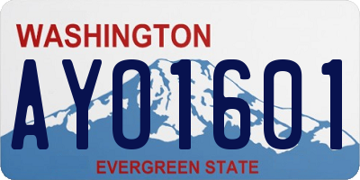 WA license plate AYO1601