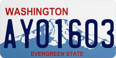 WA license plate AYO1603
