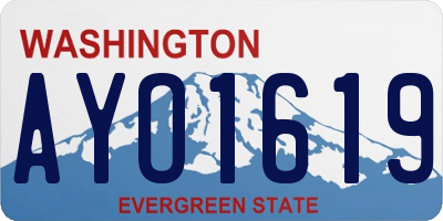 WA license plate AYO1619