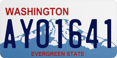WA license plate AYO1641