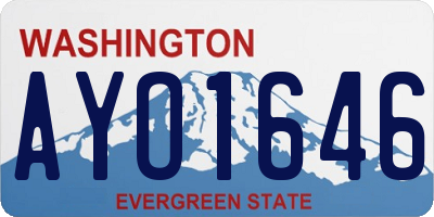 WA license plate AYO1646