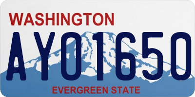 WA license plate AYO1650