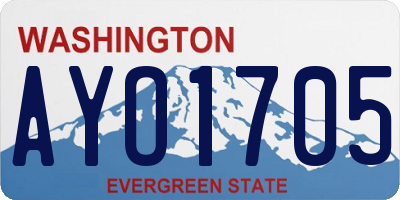 WA license plate AYO1705