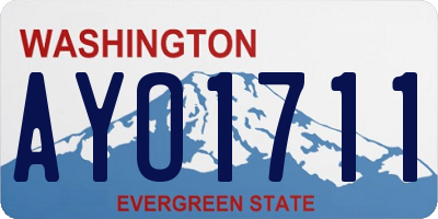 WA license plate AYO1711
