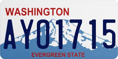 WA license plate AYO1715