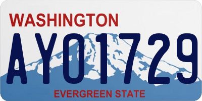 WA license plate AYO1729