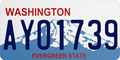 WA license plate AYO1739