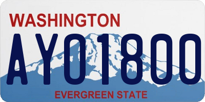 WA license plate AYO1800
