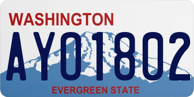 WA license plate AYO1802