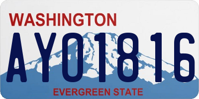 WA license plate AYO1816