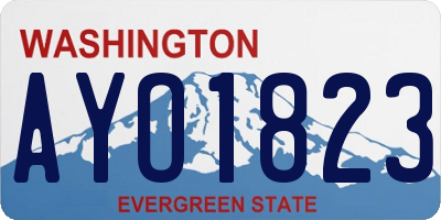 WA license plate AYO1823