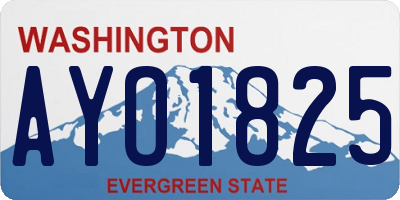 WA license plate AYO1825