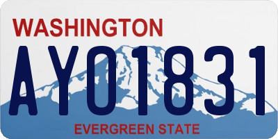 WA license plate AYO1831