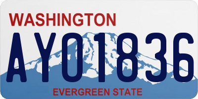 WA license plate AYO1836