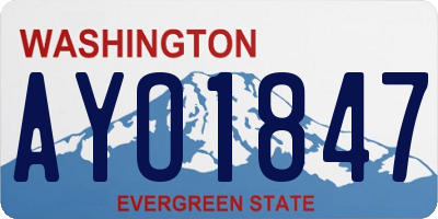 WA license plate AYO1847