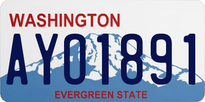 WA license plate AYO1891