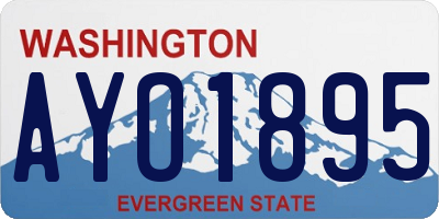 WA license plate AYO1895