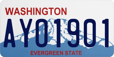 WA license plate AYO1901