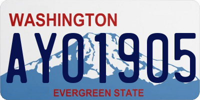 WA license plate AYO1905