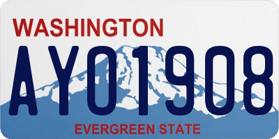 WA license plate AYO1908
