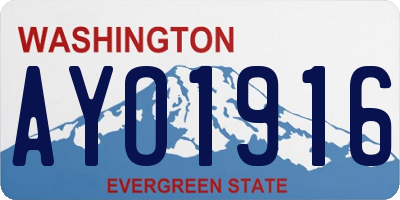 WA license plate AYO1916