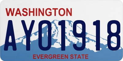 WA license plate AYO1918