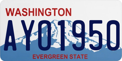 WA license plate AYO1950