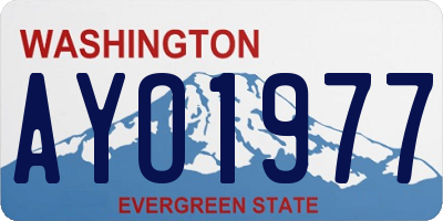 WA license plate AYO1977