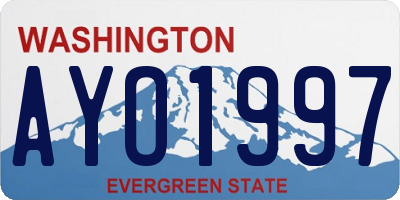 WA license plate AYO1997
