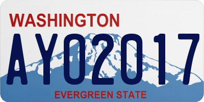 WA license plate AYO2017