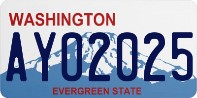 WA license plate AYO2025
