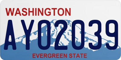 WA license plate AYO2039