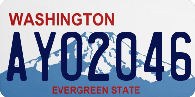 WA license plate AYO2046
