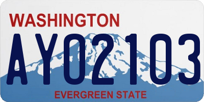 WA license plate AYO2103