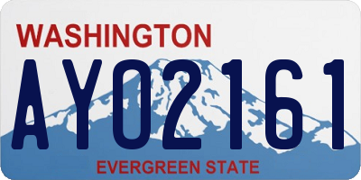 WA license plate AYO2161