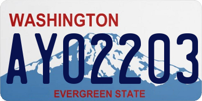WA license plate AYO2203