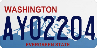 WA license plate AYO2204