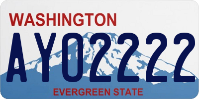 WA license plate AYO2222