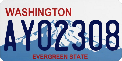 WA license plate AYO2308