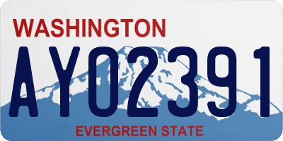 WA license plate AYO2391