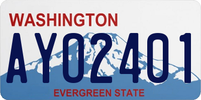 WA license plate AYO2401