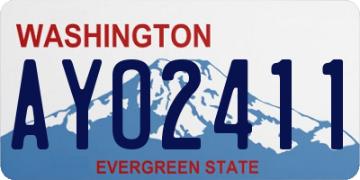 WA license plate AYO2411