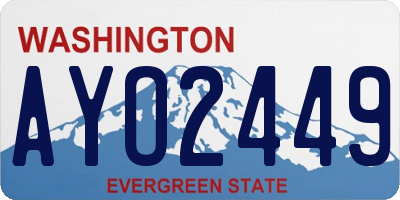 WA license plate AYO2449