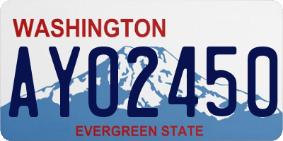 WA license plate AYO2450