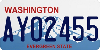 WA license plate AYO2455
