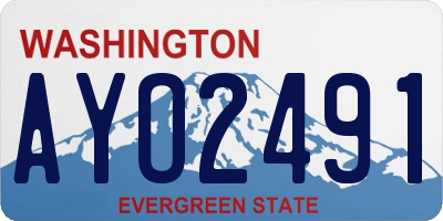WA license plate AYO2491