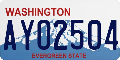 WA license plate AYO2504