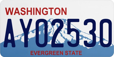 WA license plate AYO2530
