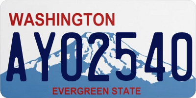 WA license plate AYO2540